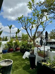 Elliot Road (D15), Condominium #456232731